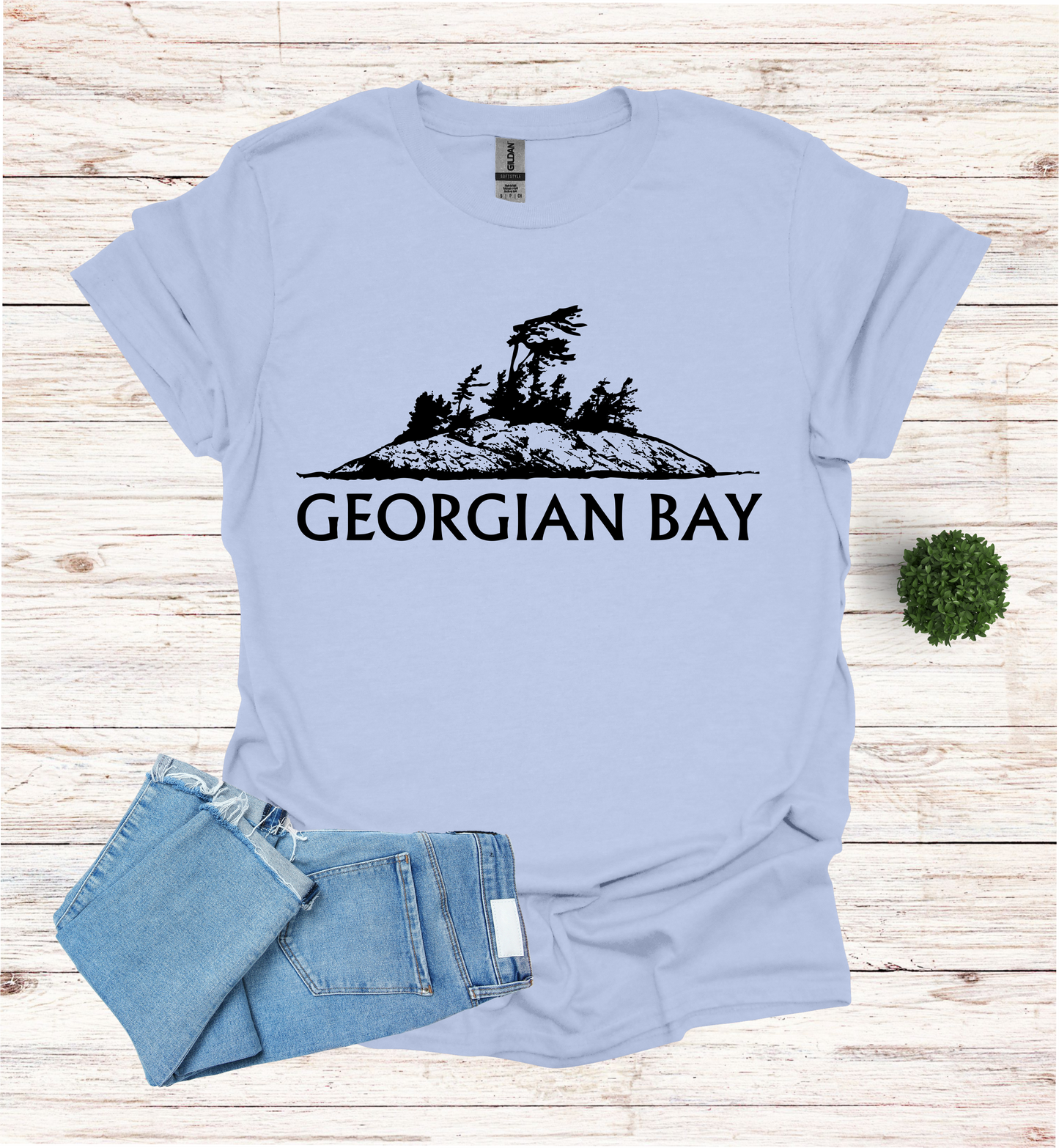 Georgian Bay with a Wind Swept pine tree on a rocky Island