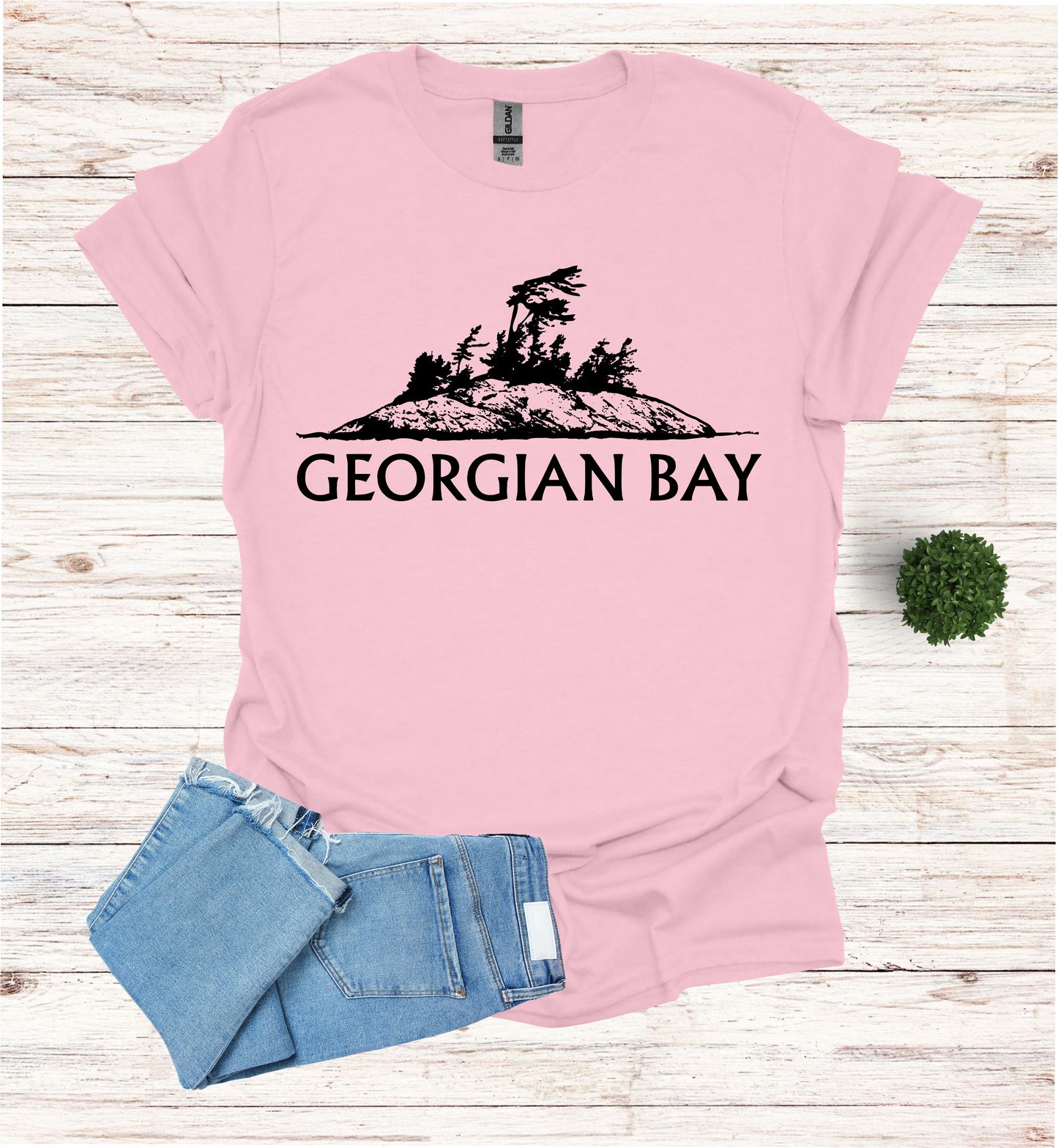 Georgian Bay with a Wind Swept pine tree on a rocky Island