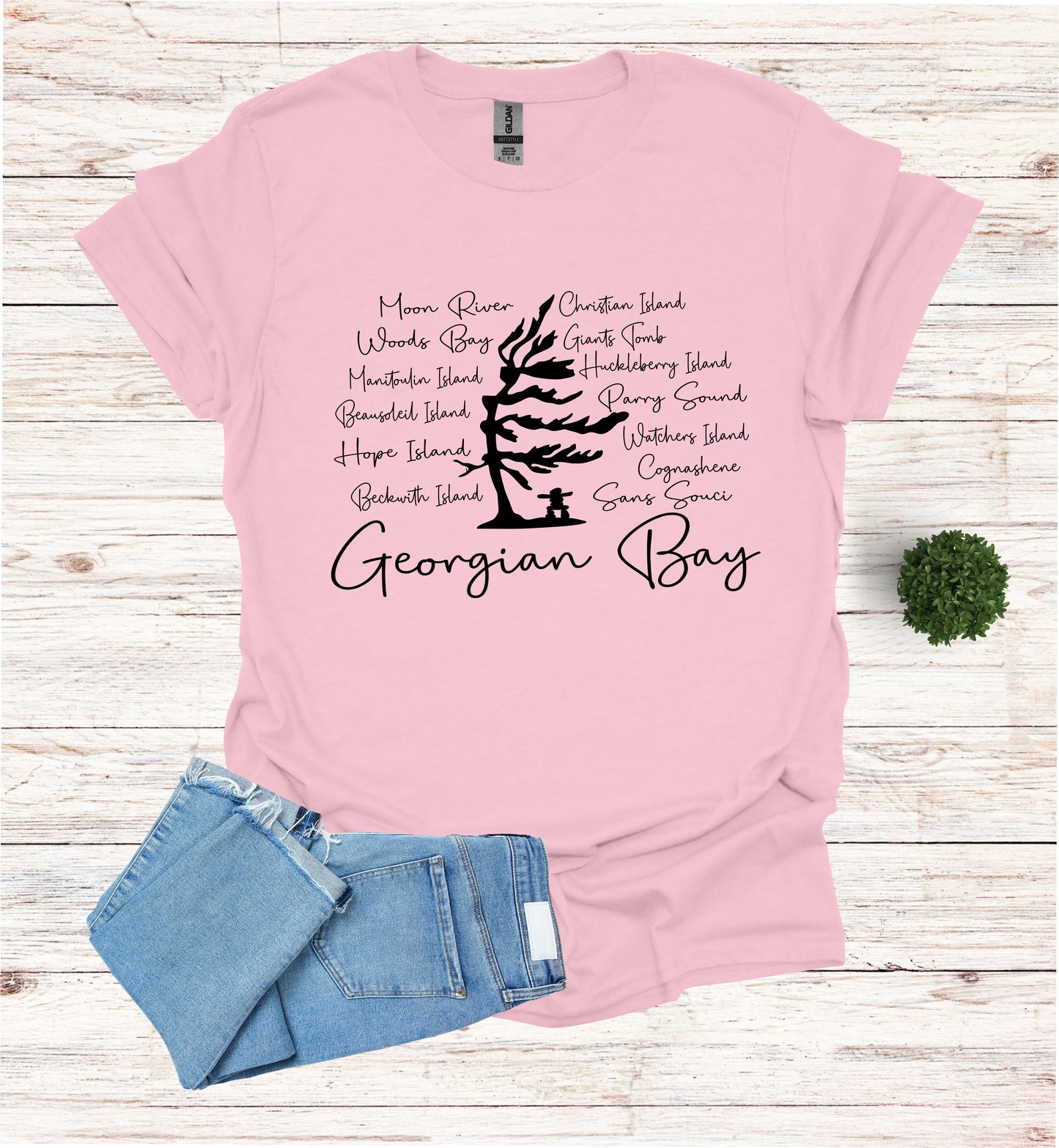 Georgian Bay with wind swept pine tree with Island and Bay names