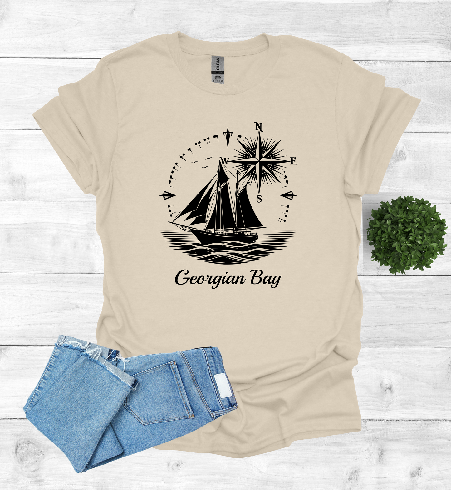 Sail Boat on Georgian Bay