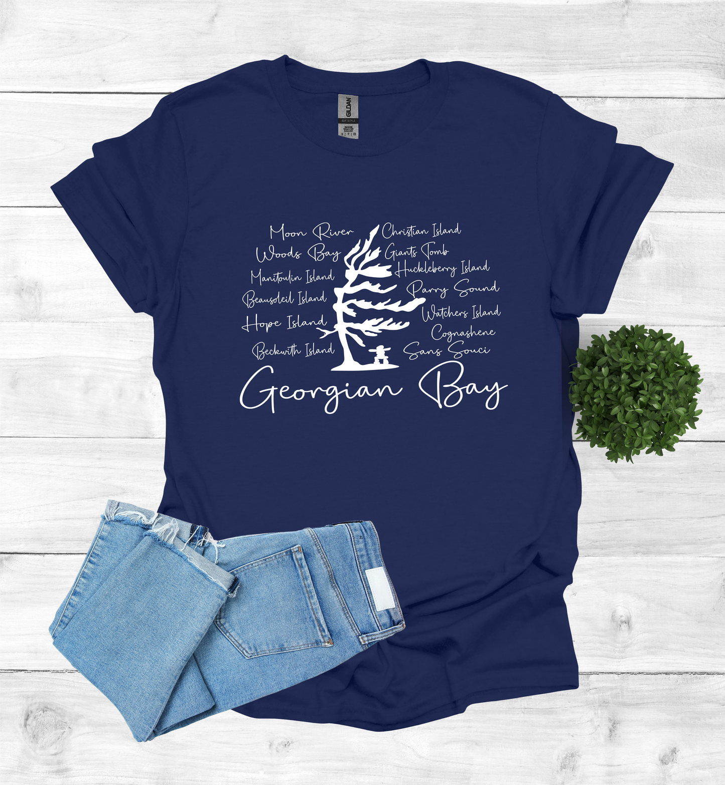 Georgian Bay with wind swept pine tree with Island and Bay names