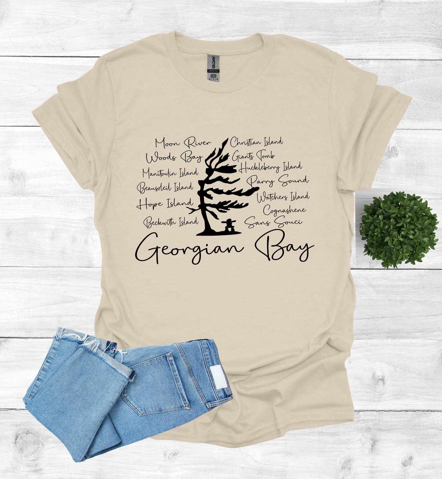 Georgian Bay with wind swept pine tree with Island and Bay names