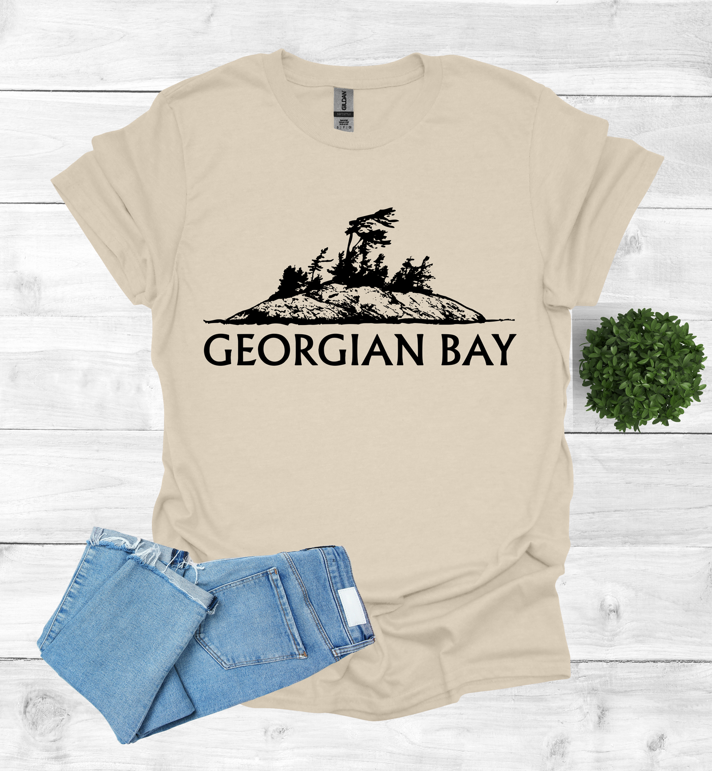 Georgian Bay with a Wind Swept pine tree on a rocky Island