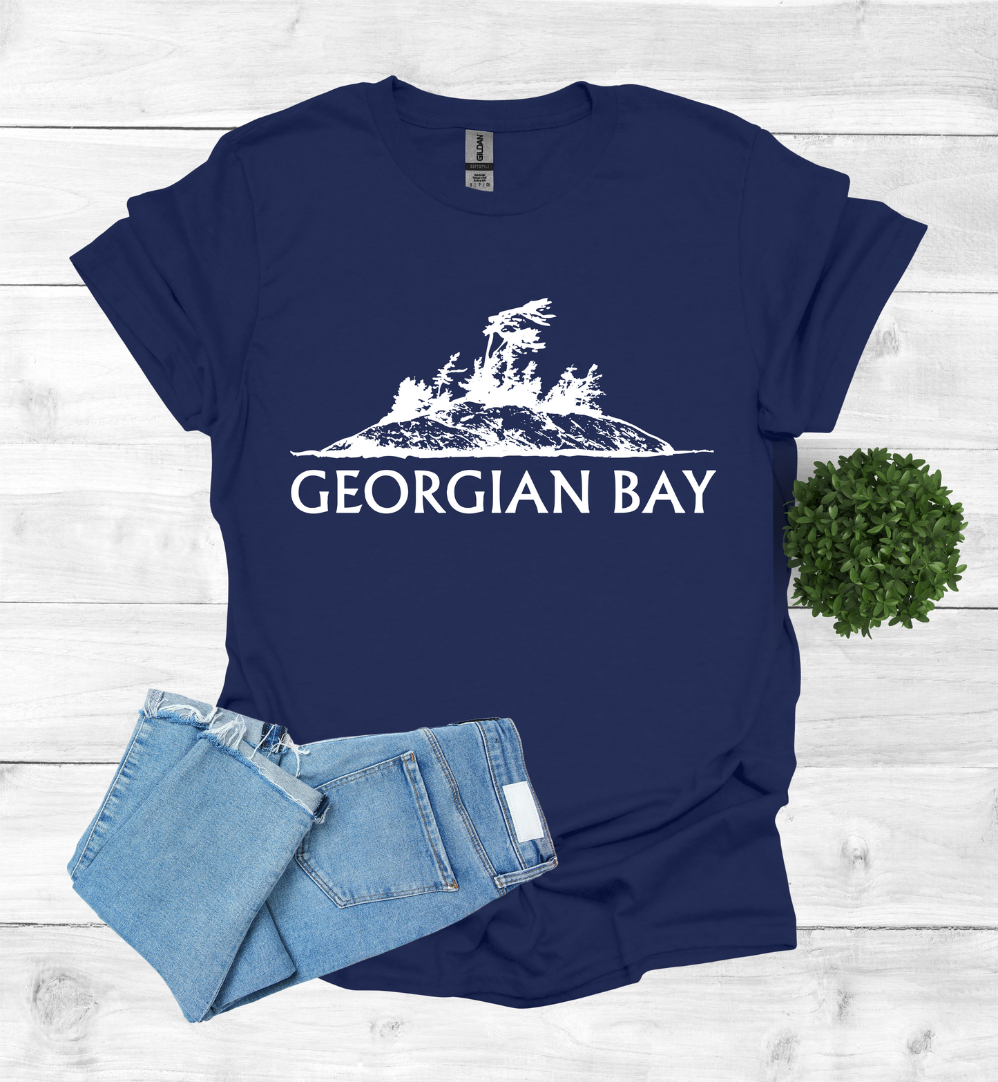 Georgian Bay with a Wind Swept pine tree on a rocky Island