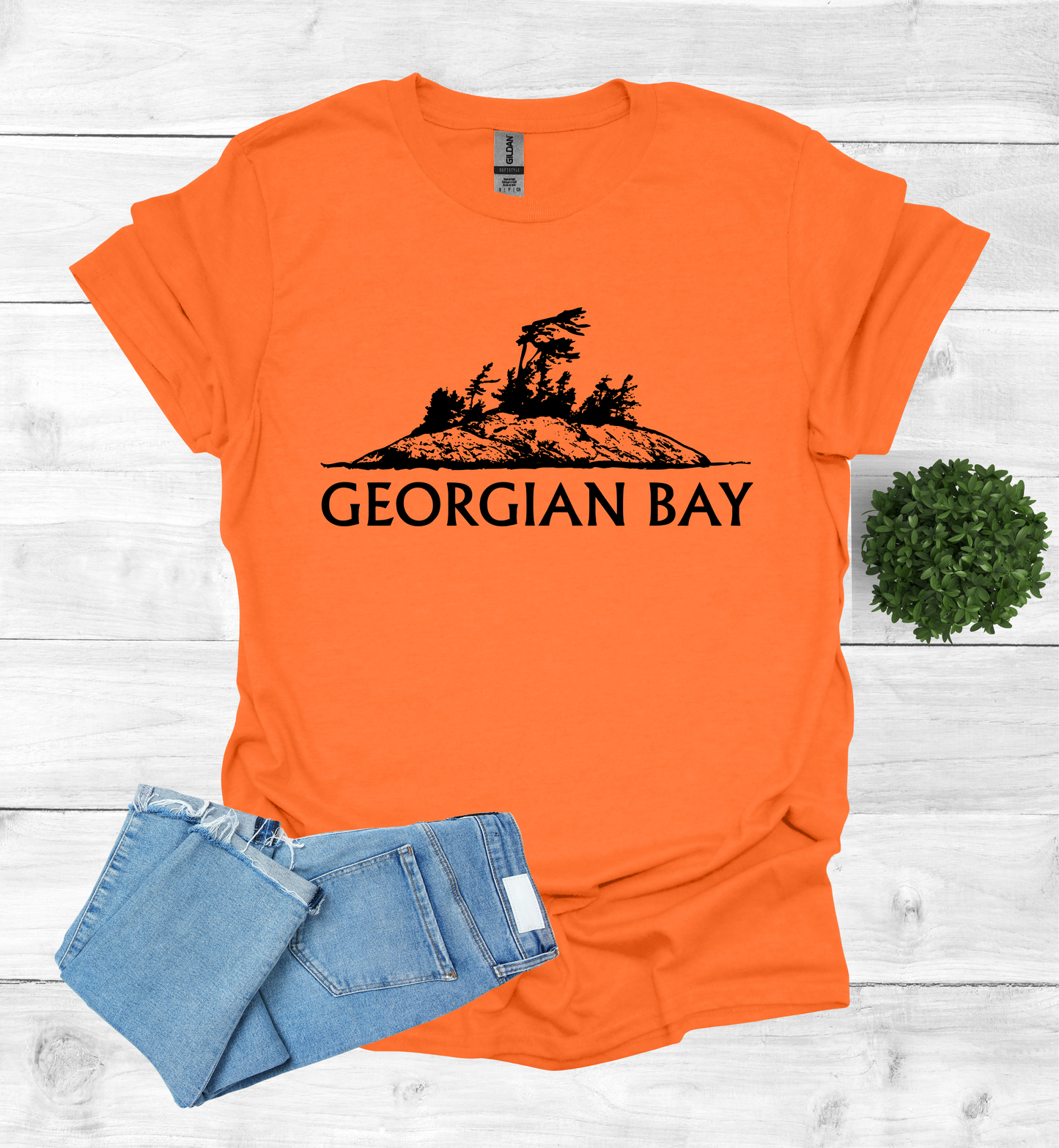 Georgian Bay with a Wind Swept pine tree on a rocky Island