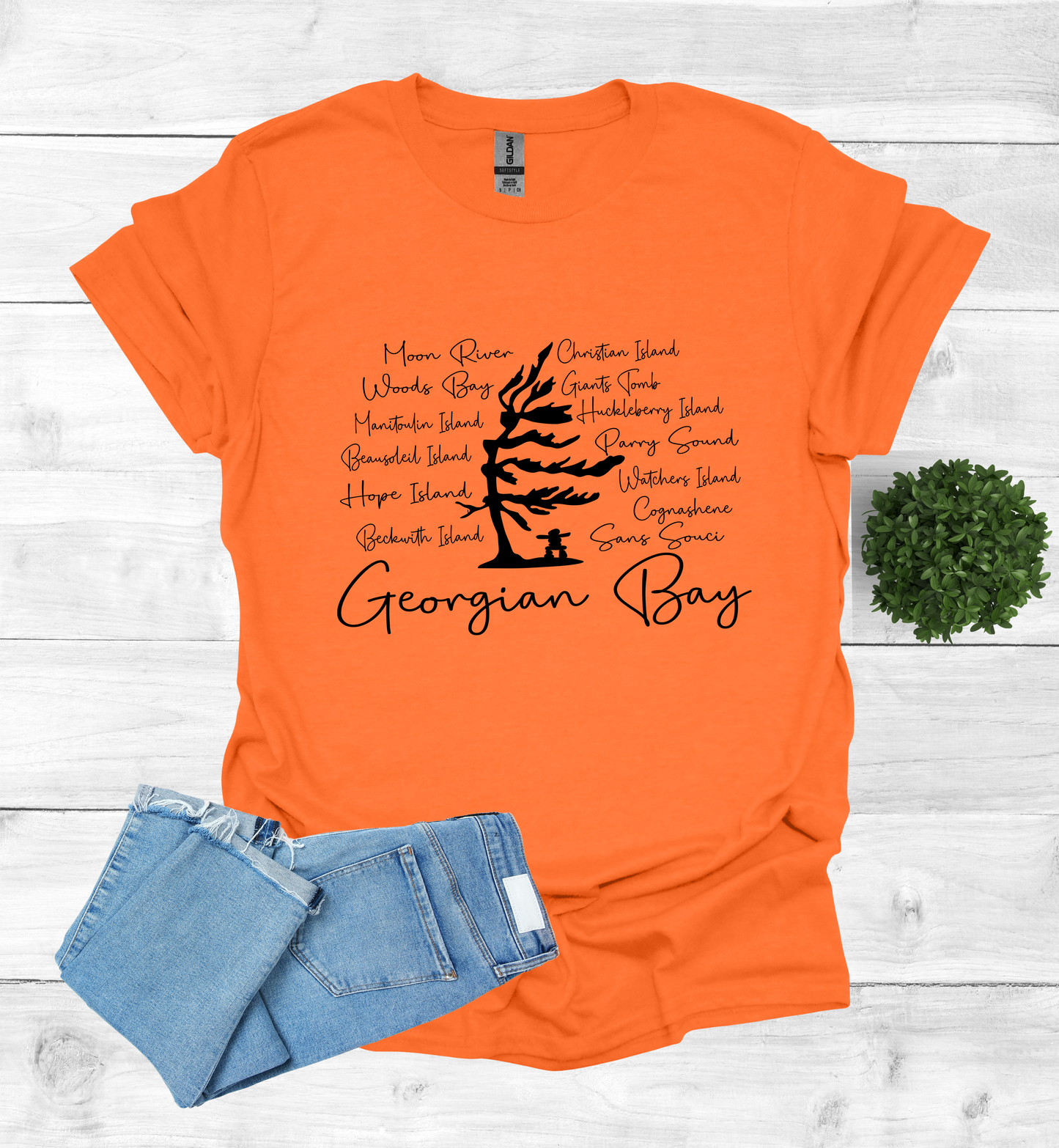 Georgian Bay with wind swept pine tree with Island and Bay names