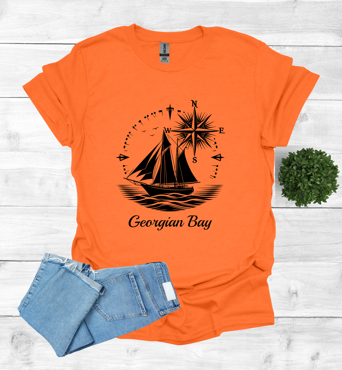 Sail Boat on Georgian Bay