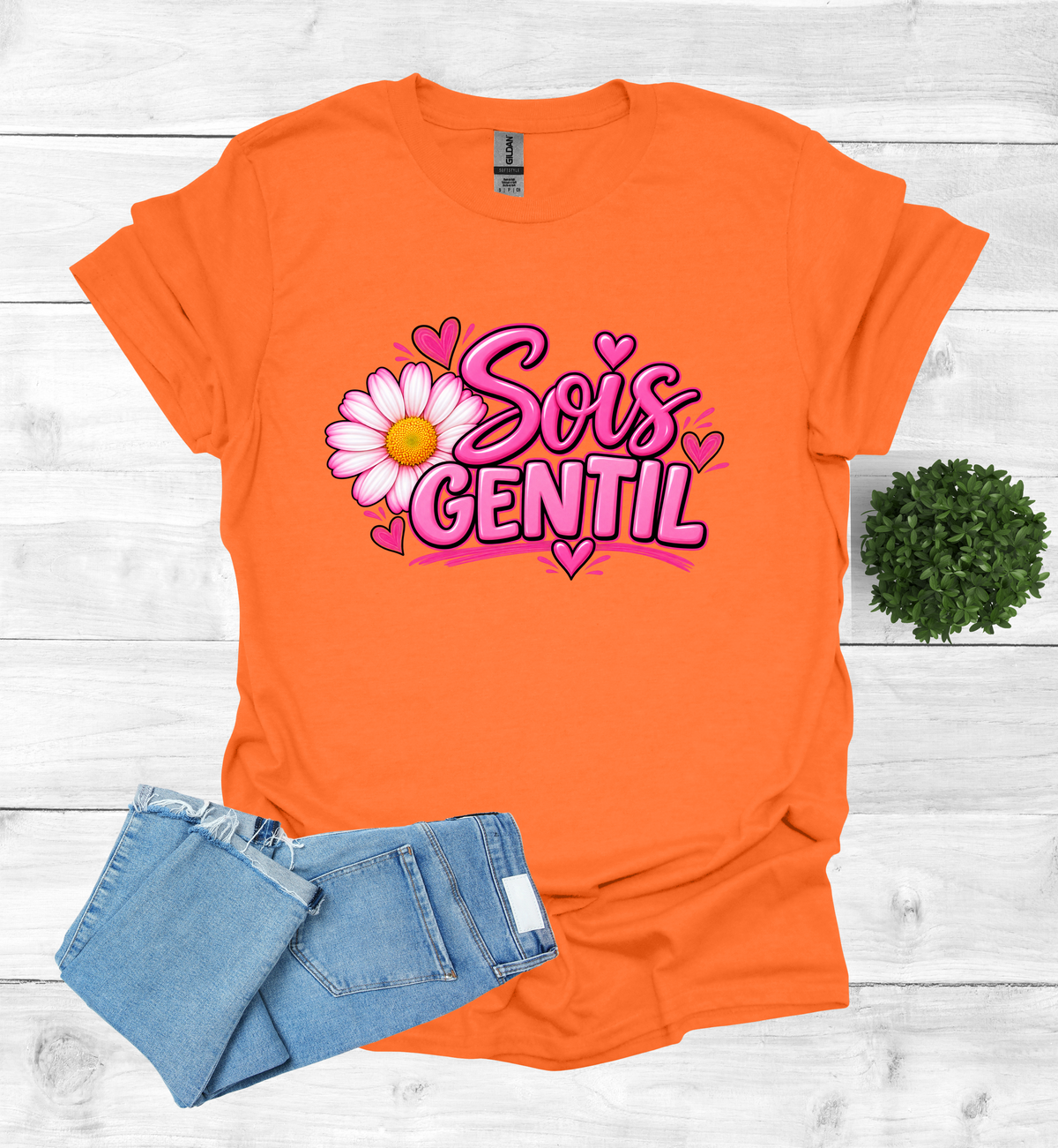 Sois Gentil, Be kind T-Shirt raising awareness