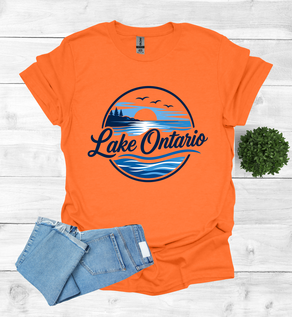Lake Ontario Tee lake scene