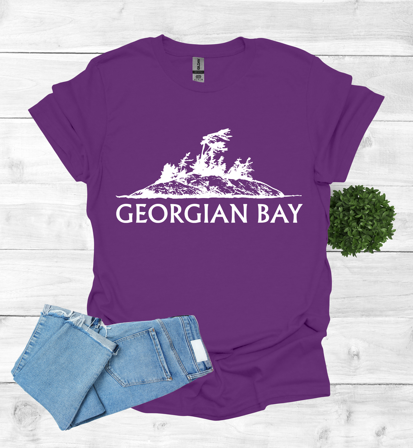 Georgian Bay with a Wind Swept pine tree on a rocky Island