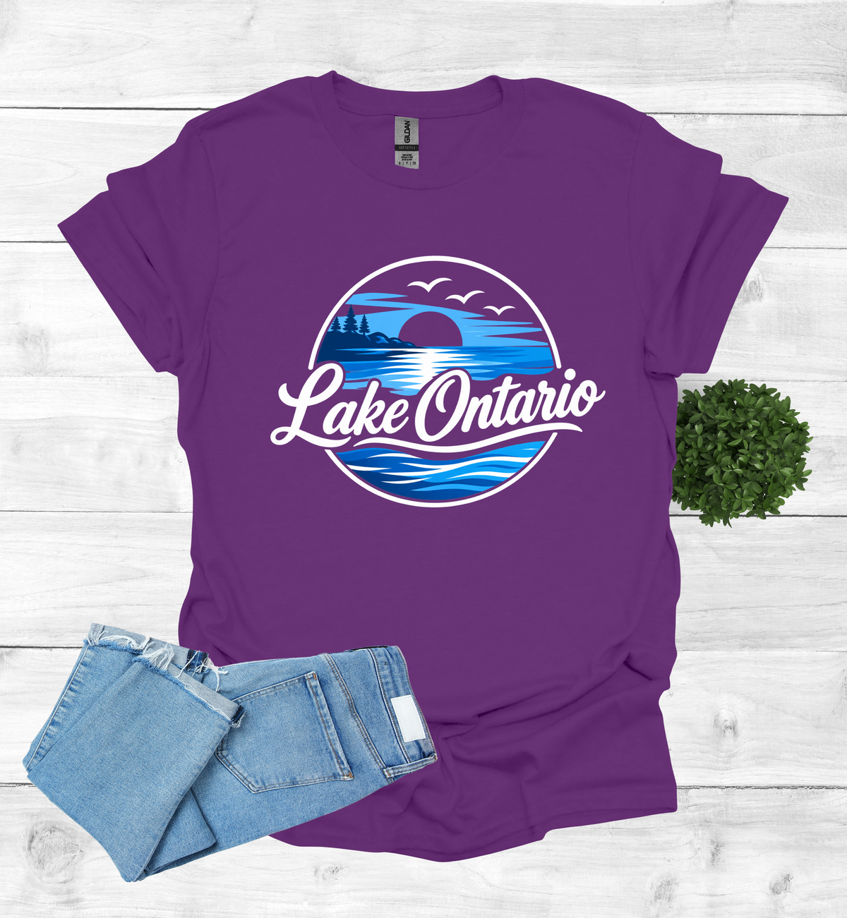 Lake Ontario Tee lake scene
