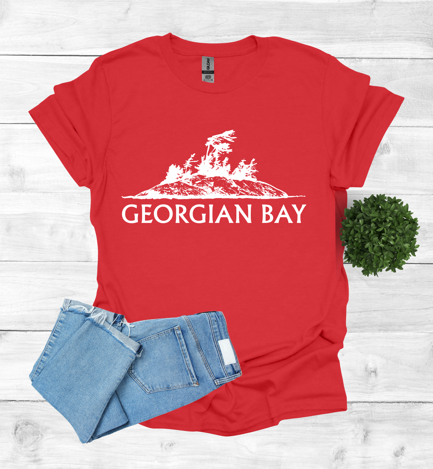 Georgian Bay with a Wind Swept pine tree on a rocky Island