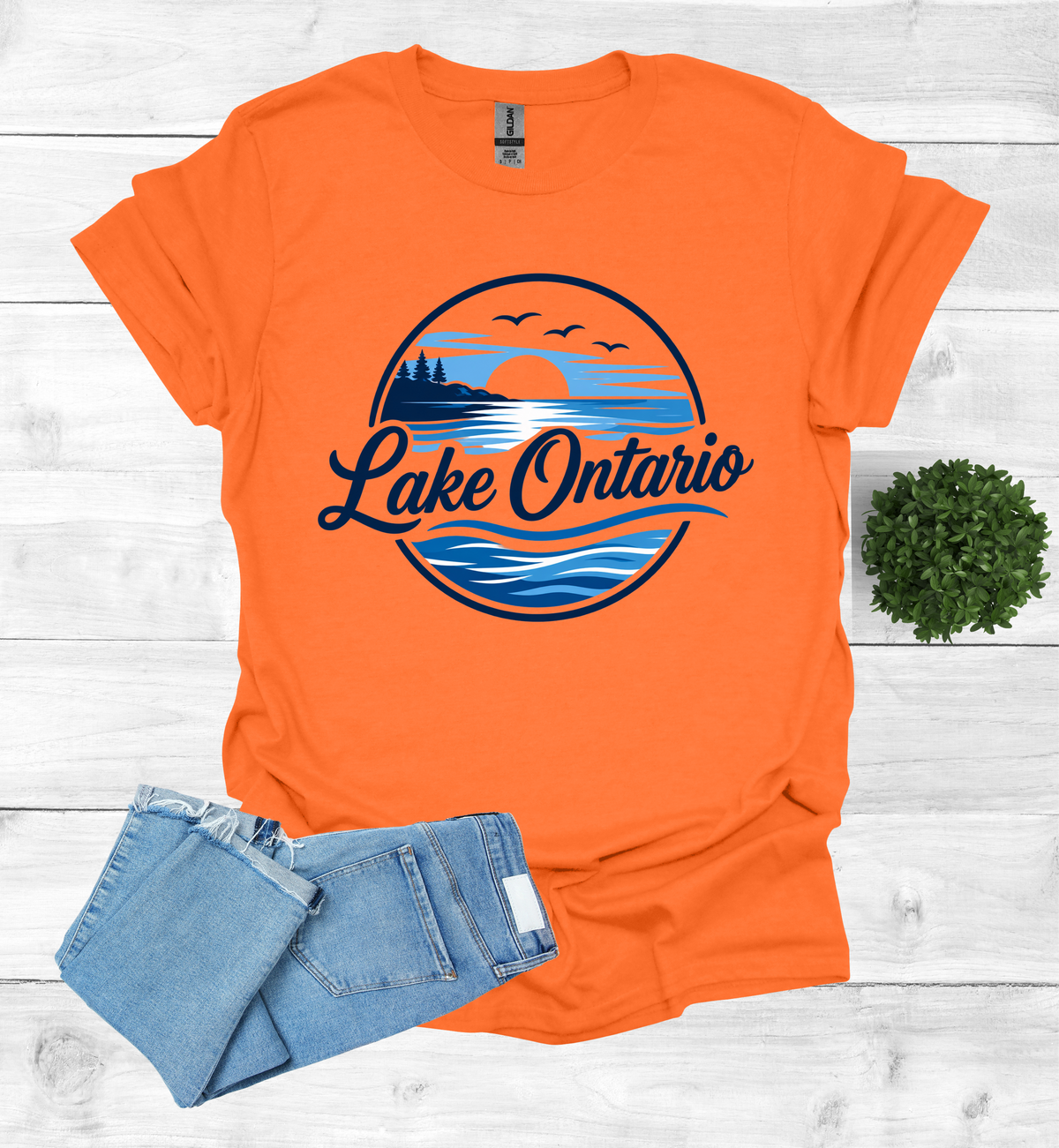 Lake Ontario Tee lake scene