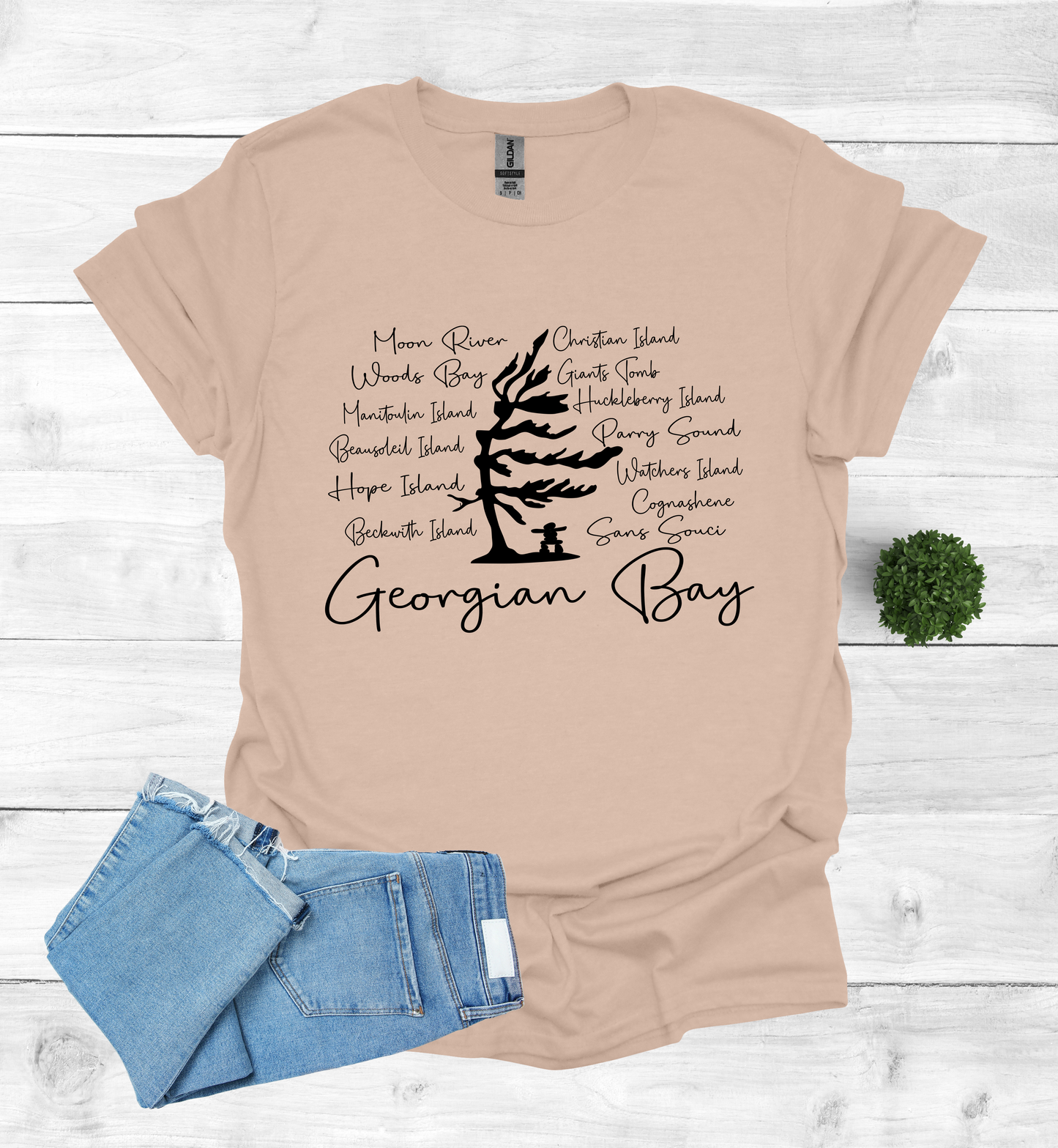 Georgian Bay with wind swept pine tree with Island and Bay names