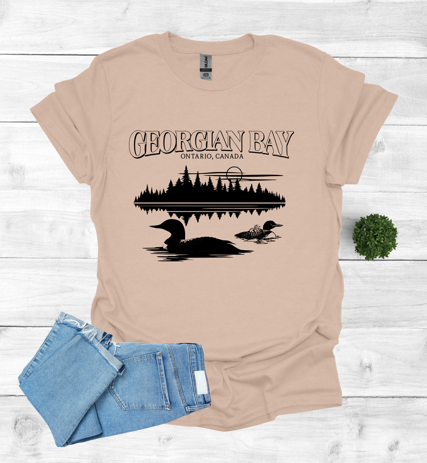 Georgian Bay with Loons T-Shirt