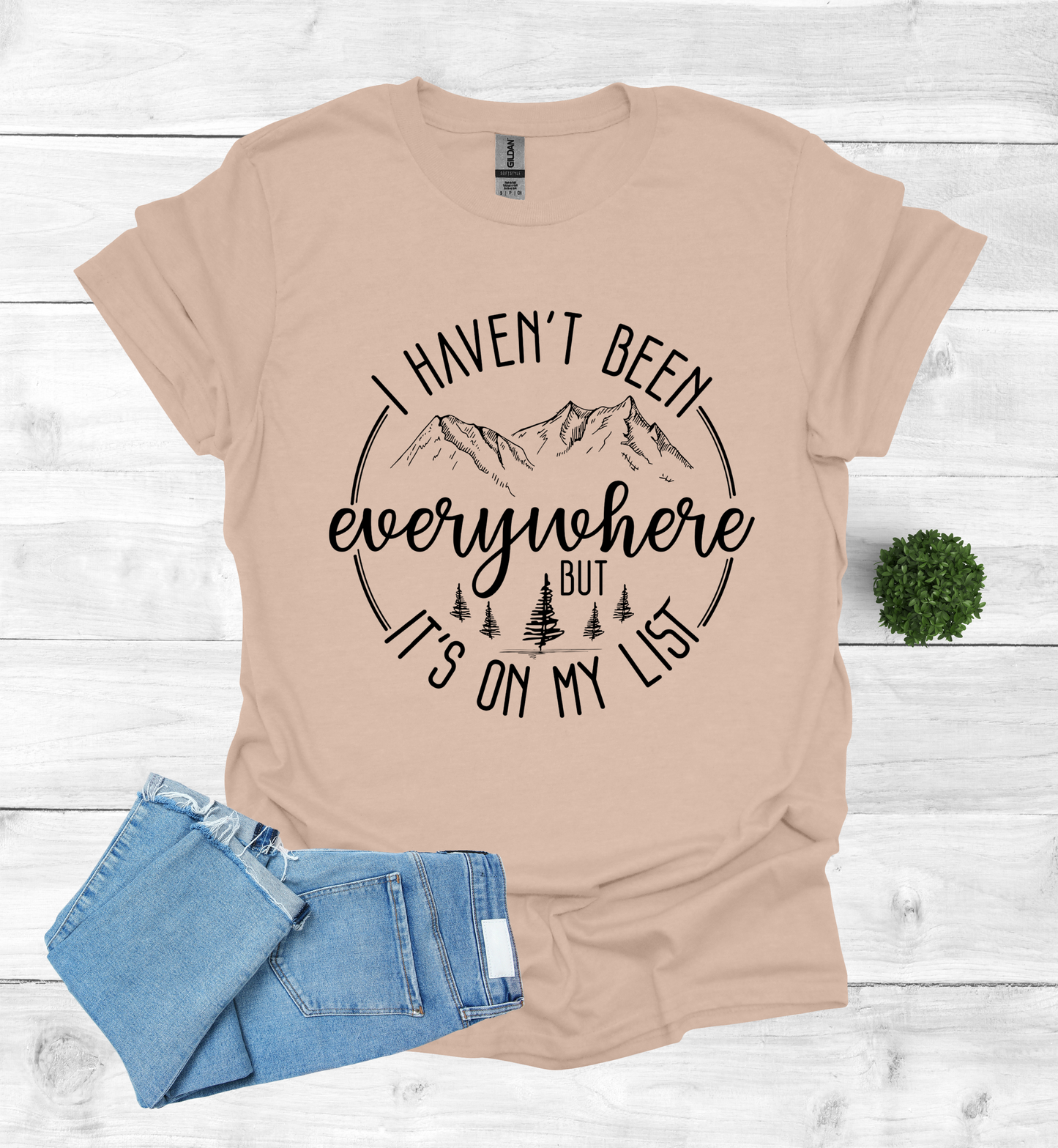 Haven't been Everywhere But It's on my list Shirt