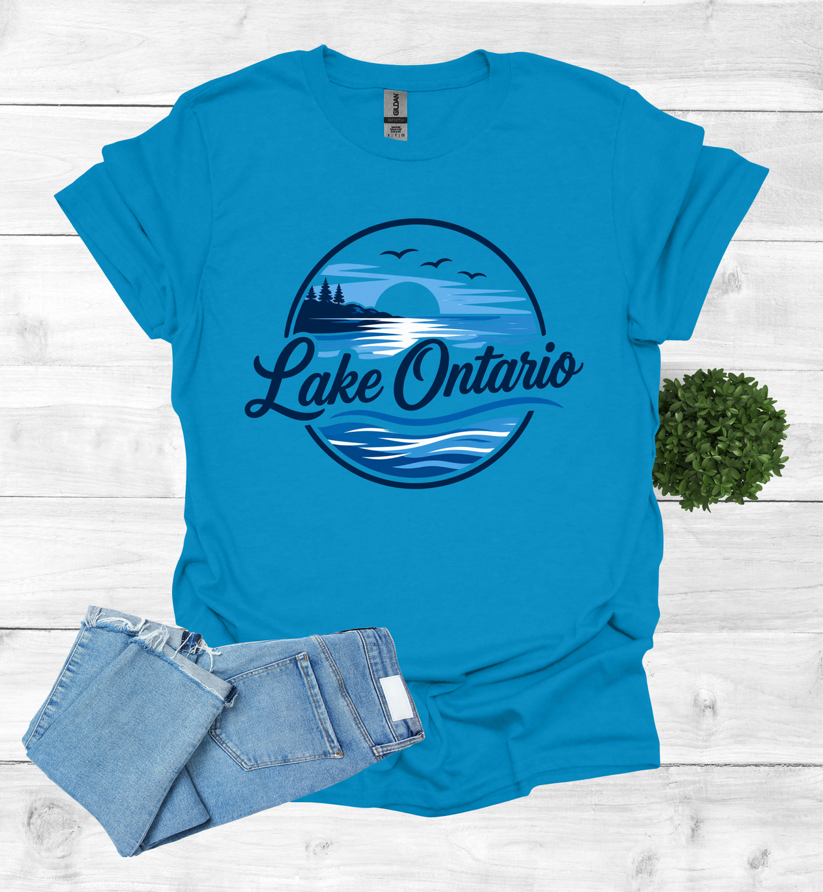Lake Ontario Tee lake scene