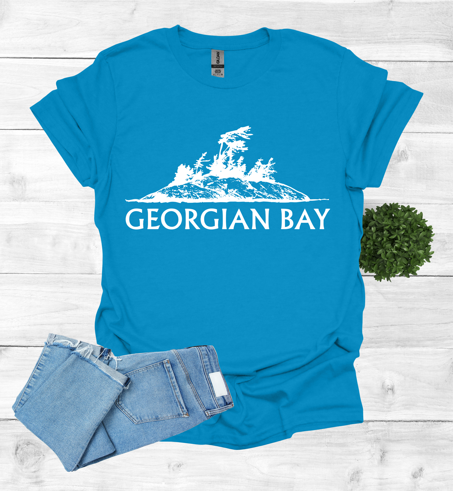 Georgian Bay with a Wind Swept pine tree on a rocky Island
