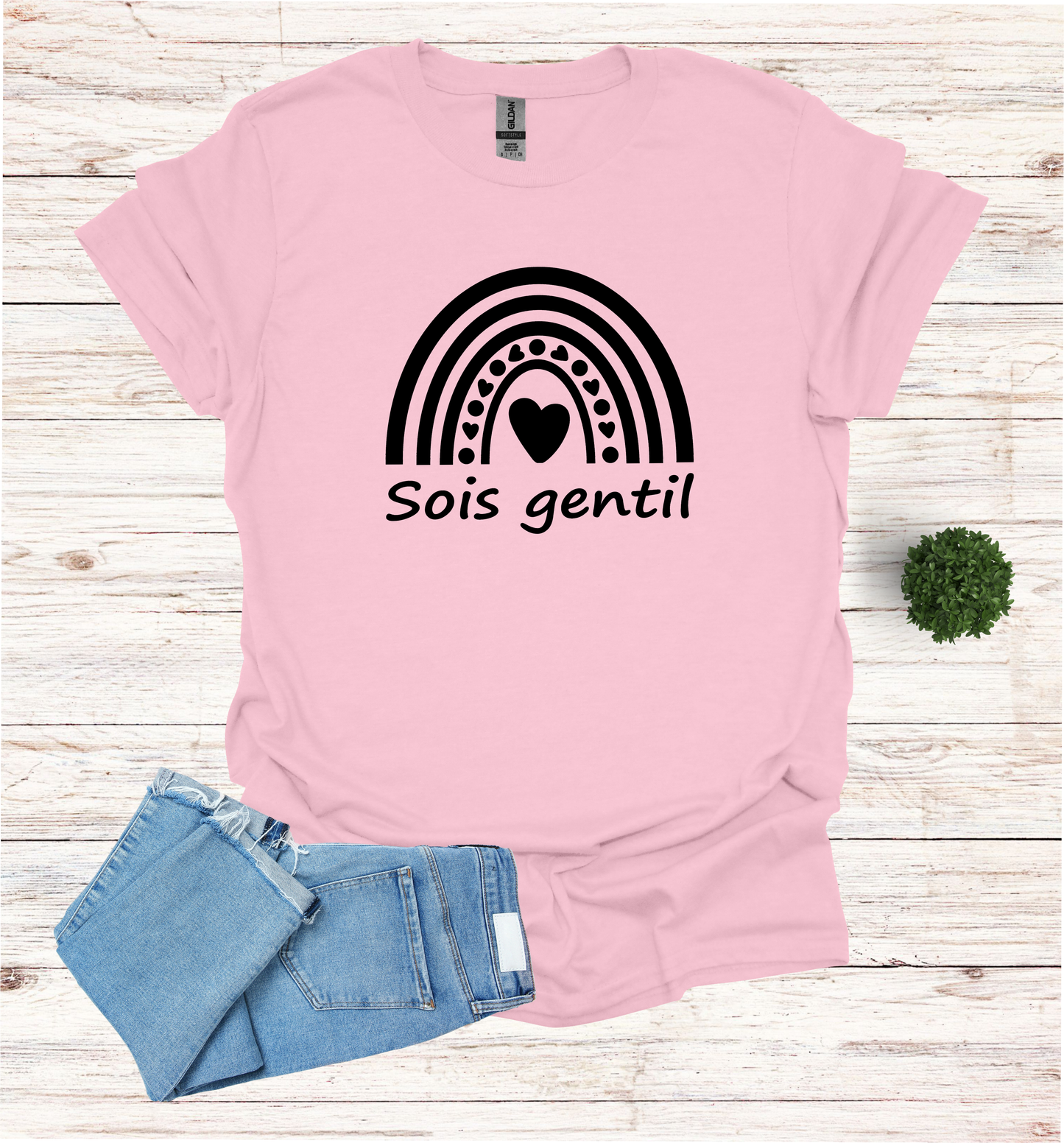 Be Kind in French sois gentil for Pink shirt day