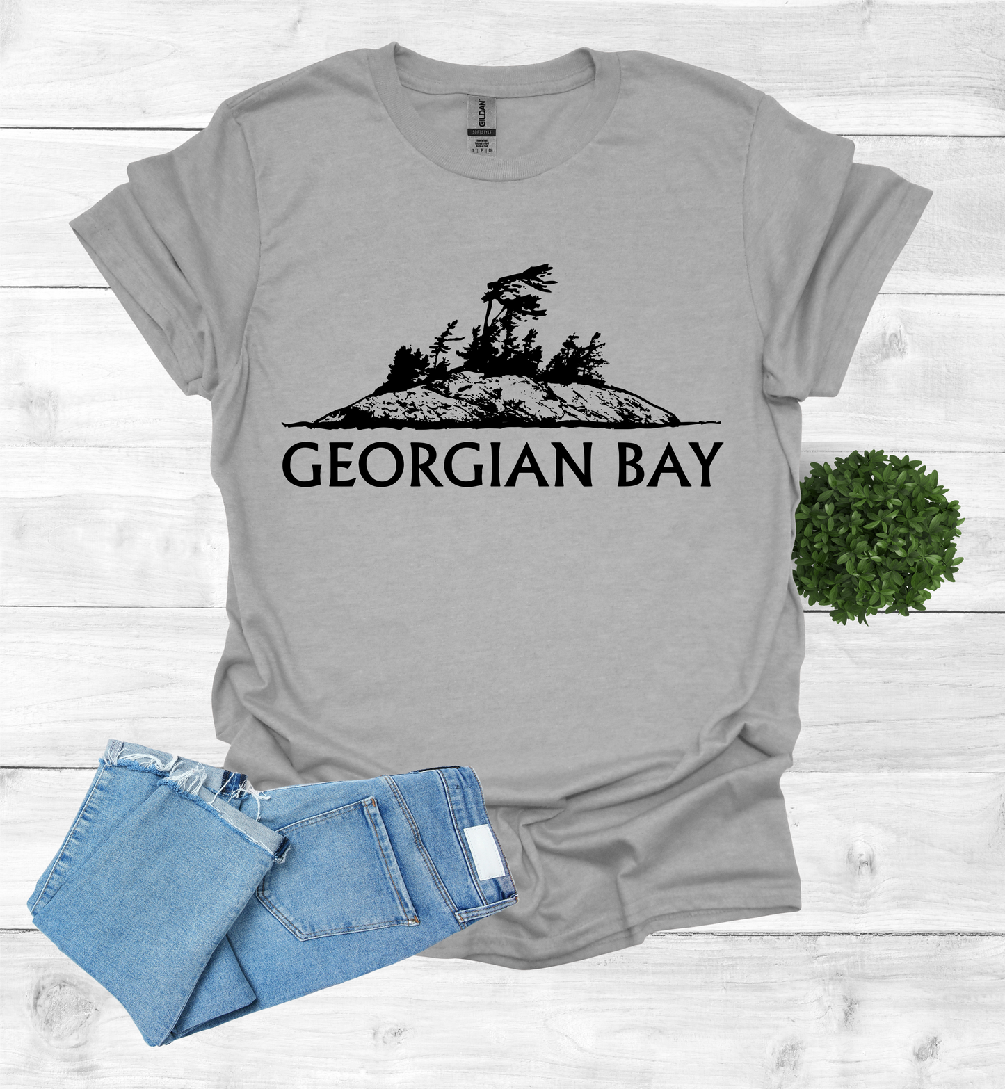 Georgian Bay with a Wind Swept pine tree on a rocky Island