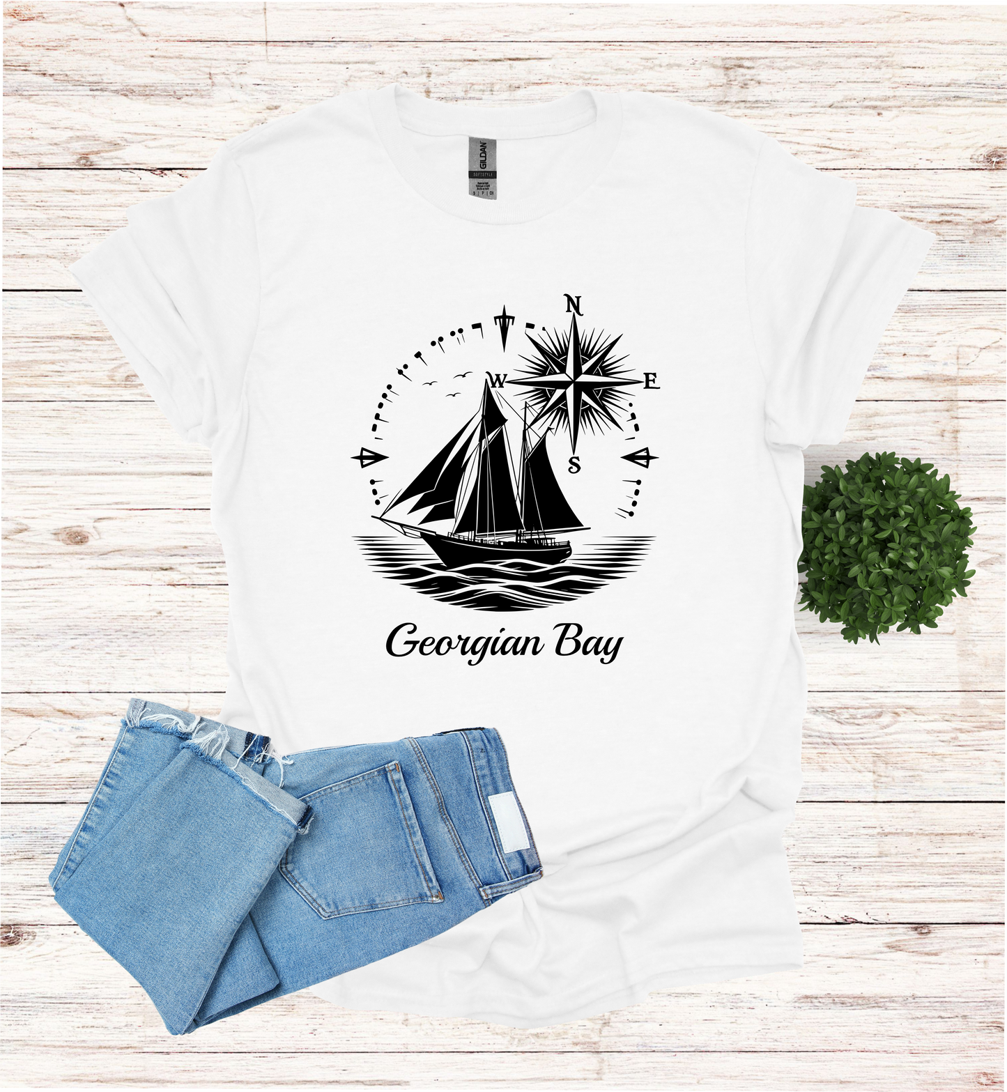 Sail Boat on Georgian Bay