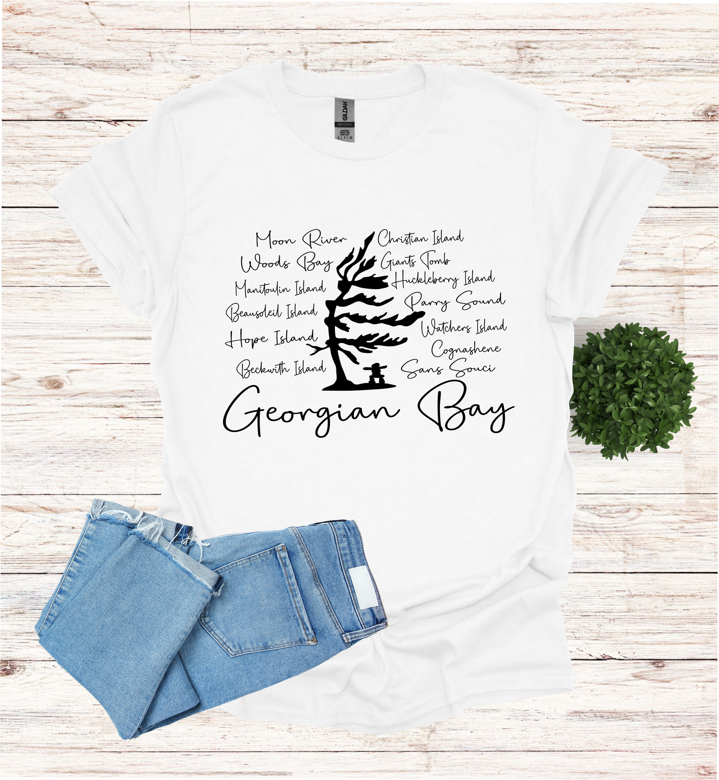 Georgian Bay with wind swept pine tree with Island and Bay names