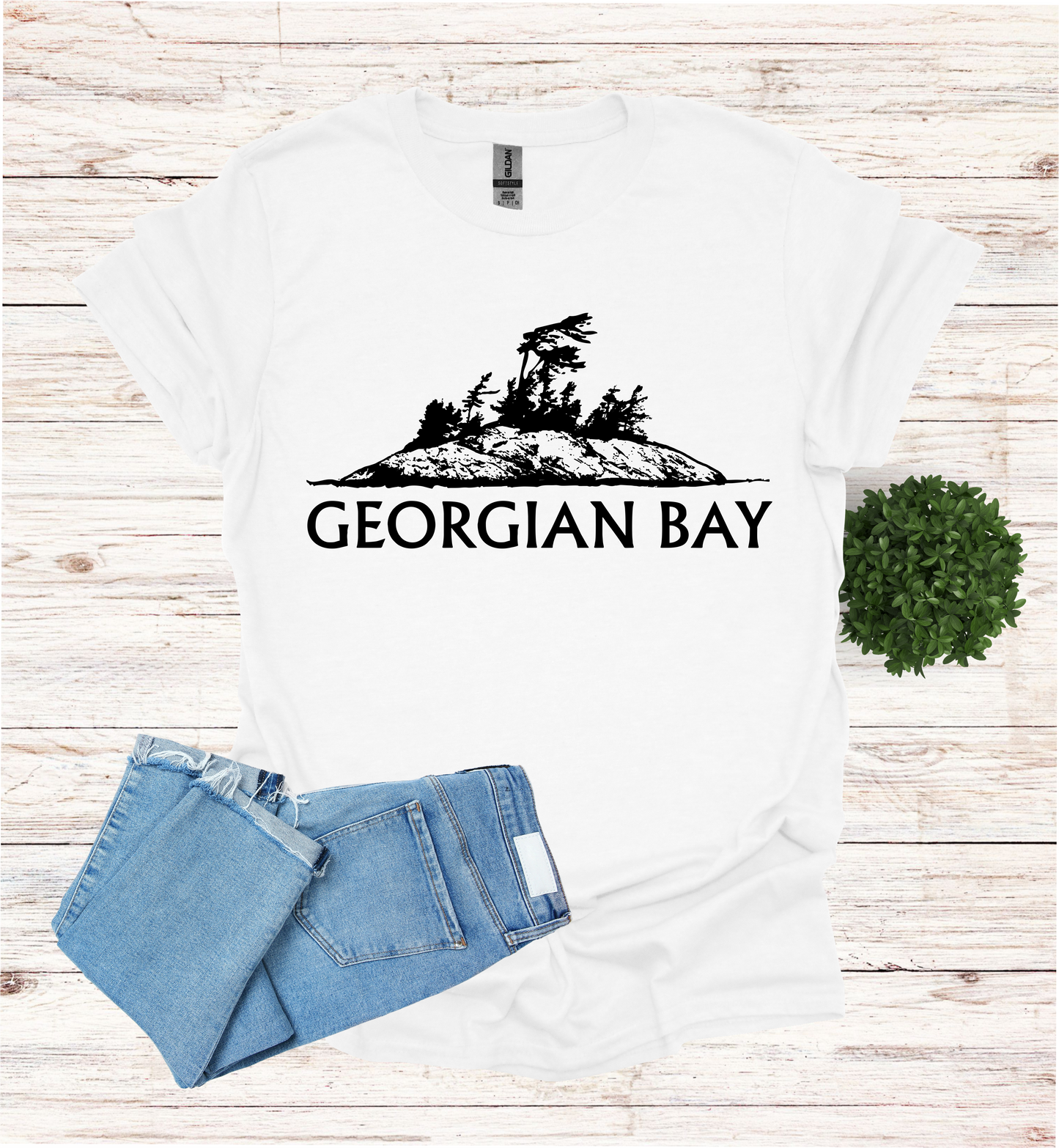 Georgian Bay with a Wind Swept pine tree on a rocky Island